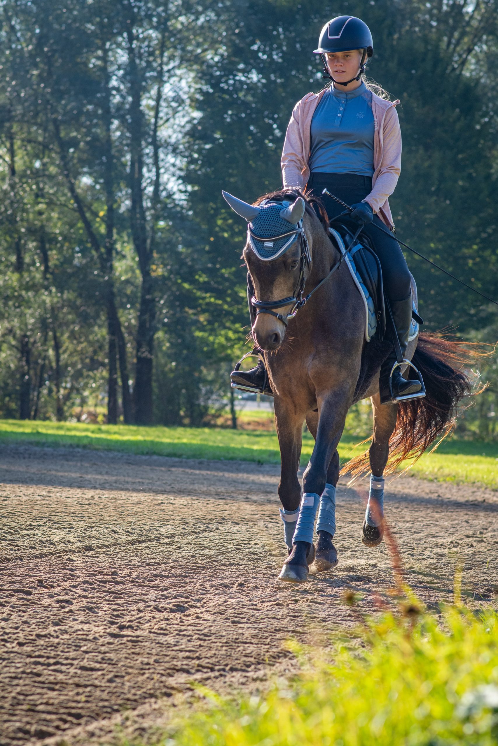 Horse Riding
